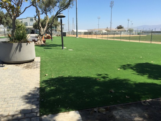 Artificial Grass Photos: Fake Lawn Crestline, California Rooftop, Parks