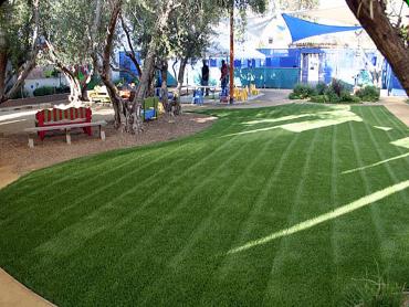 Artificial Grass Photos: Fake Lawn Idyllwild-Pine Cove, California Landscape Photos, Commercial Landscape