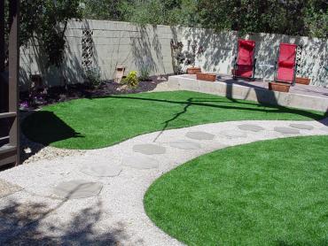 Artificial Grass Photos: Fake Lawn Ladera Heights, California Landscaping, Backyard Design