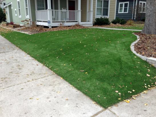 Artificial Grass Photos: Fake Lawn Manhattan Beach, California Home And Garden, Front Yard Landscape Ideas