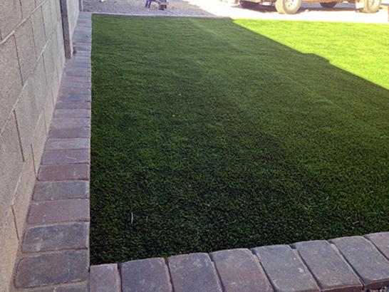 Artificial Grass Photos: Fake Lawn Maywood, California Dogs, Front Yard Landscaping Ideas
