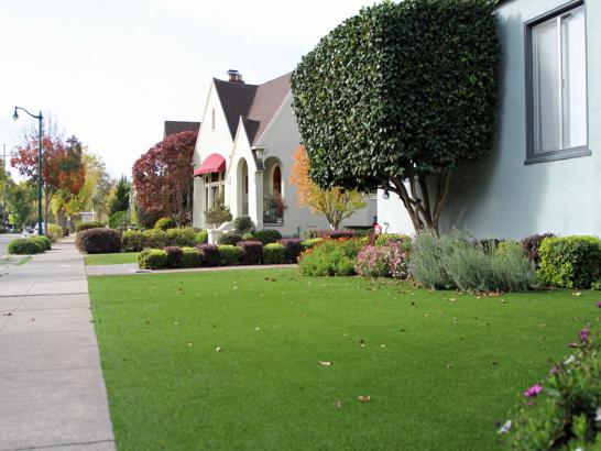 Artificial Grass Photos: Fake Lawn North El Monte, California Design Ideas, Front Yard Design