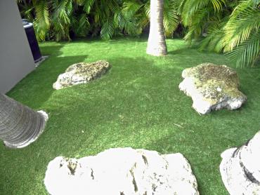 Artificial Grass Photos: Fake Lawn Perris, California Paver Patio, Backyard Design