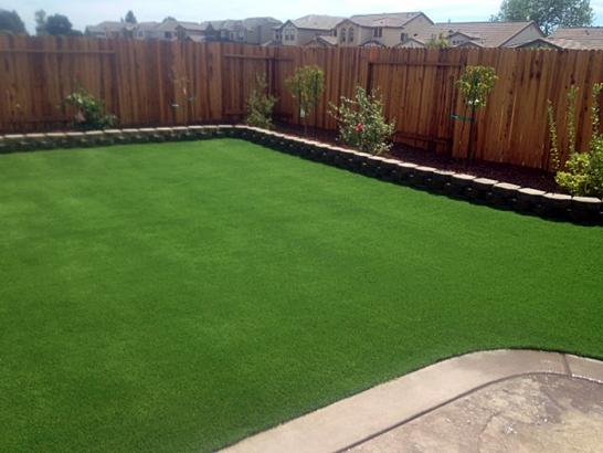 Artificial Grass Photos: Fake Lawn Ripley, California Landscaping, Backyard Garden Ideas