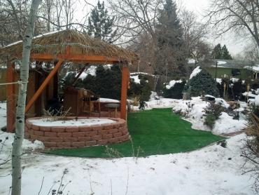 Artificial Grass Photos: Fake Lawn San Bernardino, California Rooftop, Backyard Landscaping Ideas