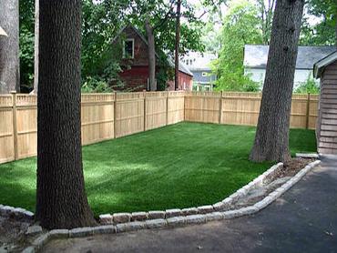 Artificial Grass Photos: Fake Lawn San Jacinto, California Roof Top, Backyard Designs