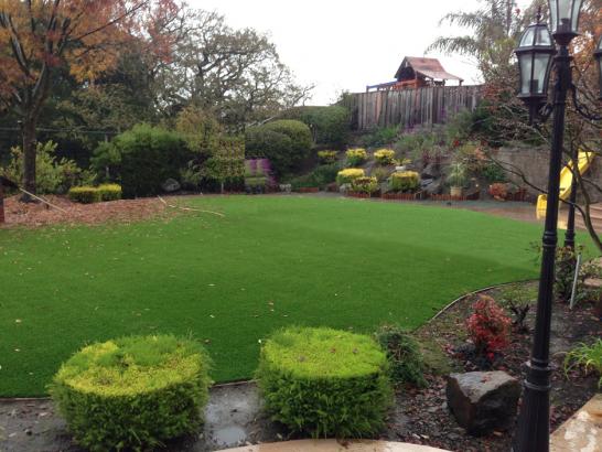 Artificial Grass Photos: Fake Lawn Santa Clarita, California Landscaping, Backyards