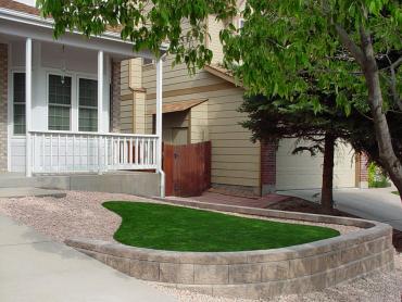Artificial Grass Photos: Fake Lawn Van Nuys, California, Landscaping Ideas For Front Yard