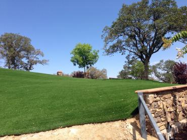 Artificial Grass Photos: Fake Lawn Walnut Park, California Garden Ideas, Front Yard Landscaping