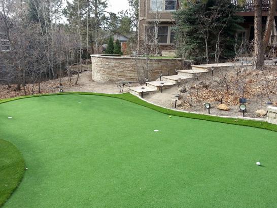 Artificial Grass Photos: Fake Turf Bell, California Artificial Putting Greens, Backyard Ideas