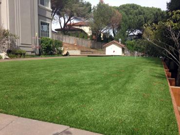Artificial Grass Photos: Fake Turf Cudahy, California Landscaping Business, Backyard Makeover
