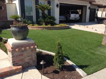 Artificial Grass Photos: Fake Turf Glendale, California City Landscape, Front Yard Landscaping Ideas