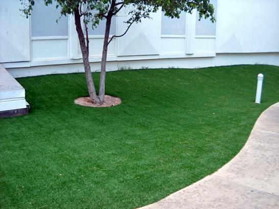 Artificial Grass Photos: Fake Turf Green Valley, California Garden Ideas, Commercial Landscape