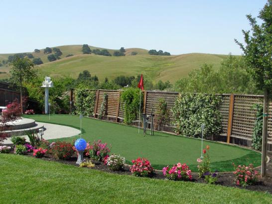 Artificial Grass Photos: Fake Turf Irwindale, California Putting Green Flags, Backyards