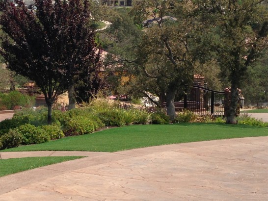 Artificial Grass Photos: Fake Turf La Quinta, California Landscape Photos, Backyard Designs