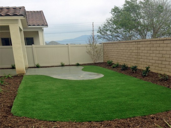 Artificial Grass Photos: Fake Turf Lancaster, California Paver Patio, Backyard Landscape Ideas