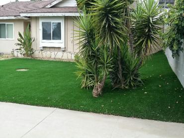 Artificial Grass Photos: Fake Turf Norwalk, California Landscaping Business, Front Yard Landscaping Ideas