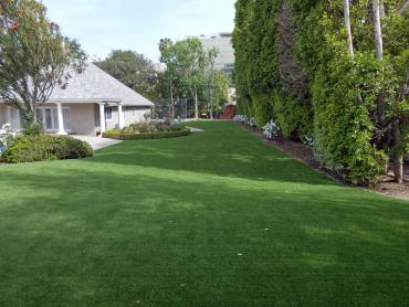 Artificial Grass Photos: Fake Turf Phelan, California Backyard Deck Ideas, Front Yard