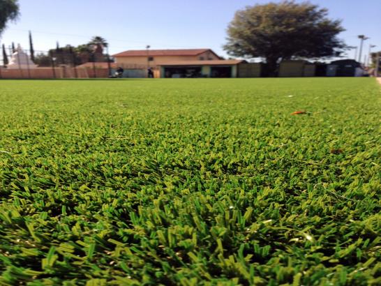 Artificial Grass Photos: Fake Turf Phelan, California Landscape Design