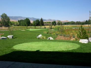 Artificial Grass Photos: Fake Turf South San Jose Hills, California Putting Green Carpet, Backyard Makeover