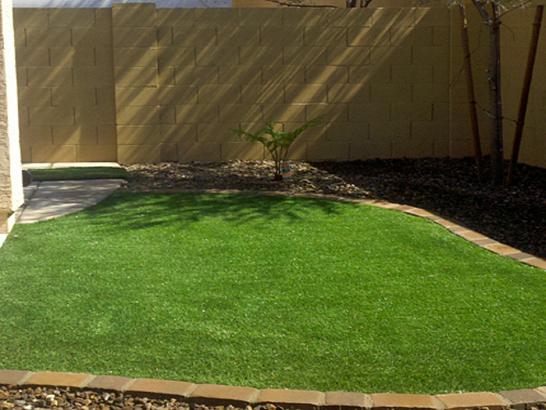 Artificial Grass Photos: Fake Turf Walnut, California Garden Ideas, Backyard Makeover