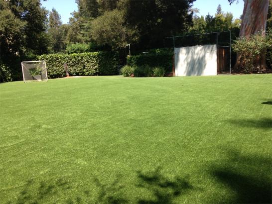Artificial Grass Photos: Faux Grass Alondra Park, California Stadium, Backyard Landscaping Ideas