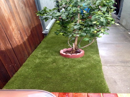 Artificial Grass Photos: Faux Grass Burbank, California Garden Ideas, Backyard Landscape Ideas