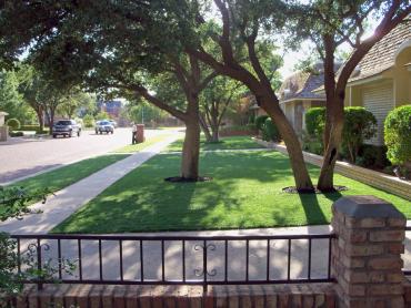 Artificial Grass Photos: Faux Grass Desert Center, California Backyard Deck Ideas, Landscaping Ideas For Front Yard