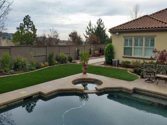 Artificial Grass Photos: Faux Grass East Los Angeles, California Landscape Ideas, Above Ground Swimming Pool