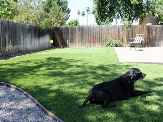 Artificial Grass Photos: Faux Grass El Segundo, California Dog Parks, Dogs Runs