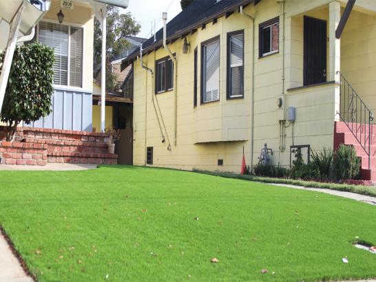 Artificial Grass Photos: Faux Grass La Habra Heights, California Landscape Ideas, Front Yard Landscape Ideas
