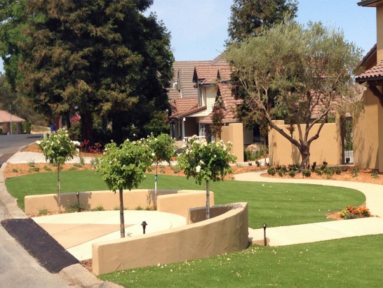 Artificial Grass Photos: Faux Grass Lawndale, California Landscape Design, Landscaping Ideas For Front Yard