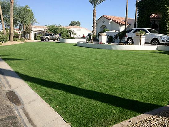 Artificial Grass Photos: Faux Grass Mountain Center, California Landscape Ideas, Front Yard Ideas