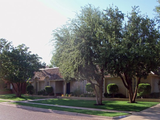 Artificial Grass Photos: Faux Grass Palmdale, California City Landscape, Small Front Yard Landscaping