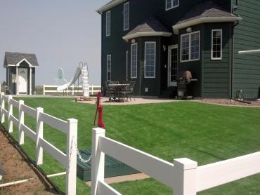 Artificial Grass Photos: Faux Grass Pomona, California, Front Yard Landscaping Ideas