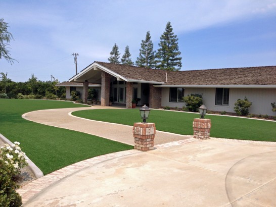 Artificial Grass Photos: Faux Grass Quartz Hill, California Roof Top, Front Yard Landscaping Ideas