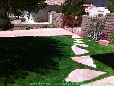 Faux Grass Riverside, California Dog Hospital, Front Yard Ideas artificial grass