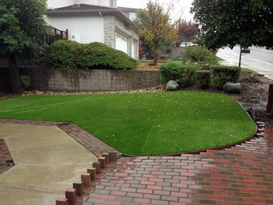 Artificial Grass Photos: Faux Grass Rolling Hills, California Roof Top, Backyard Garden Ideas