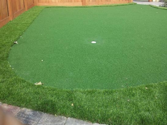 Artificial Grass Photos: Faux Grass Wildomar, California Putting Green Carpet