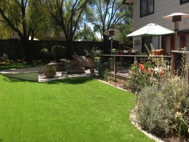 Artificial Grass Photos: Faux Grass Willowbrook, California Design Ideas, Backyard Garden Ideas