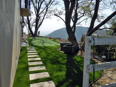 Artificial Grass Photos: Grass Carpet Anza, California Putting Green Turf, Backyard Ideas