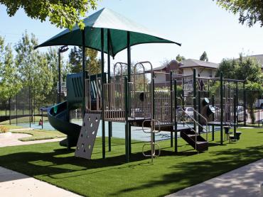 Artificial Grass Photos: Grass Carpet Artesia, California Lacrosse Playground, Recreational Areas