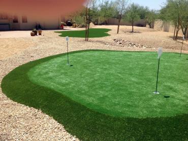 Artificial Grass Photos: Grass Carpet Barstow Heights, California Indoor Putting Greens, Backyard Landscaping Ideas