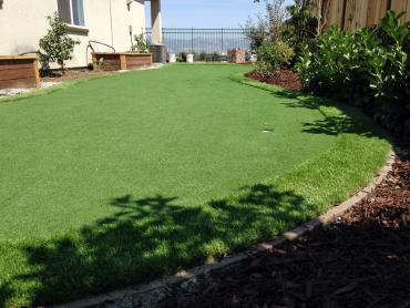 Artificial Grass Photos: Grass Carpet Bellflower, California Design Ideas, Backyard Makeover