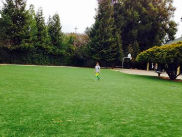 Artificial Grass Photos: Grass Carpet Cabazon, California Playground, Recreational Areas