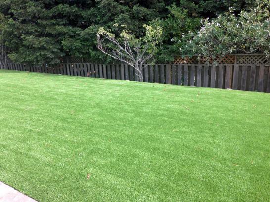 Artificial Grass Photos: Grass Carpet Carson, California Rooftop, Backyard Design