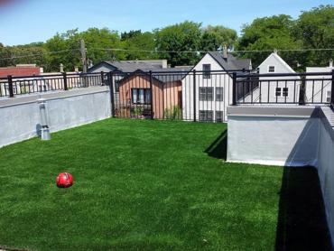 Artificial Grass Photos: Grass Carpet Desert Hot Springs, California Cat Grass, Patio