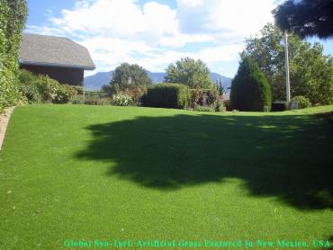 Artificial Grass Photos: Grass Carpet Grand Terrace, California Cat Playground, Backyard Landscaping Ideas