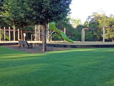 Artificial Grass Photos: Grass Carpet Los Angeles, California Athletic Playground, Recreational Areas