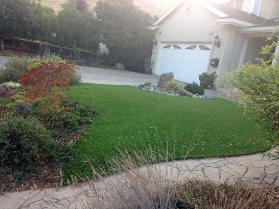 Artificial Grass Photos: Grass Carpet Norco, California Lawns, Landscaping Ideas For Front Yard